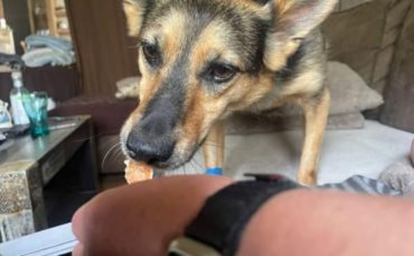 Schenkst du Eva dein Herz?