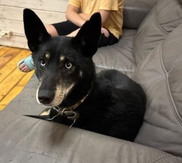 BAGIRA - besonderes Seelchen