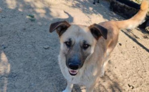 Freundlicher und lebensfroher Abruzzo