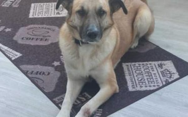 Freundlicher und lebensfroher Abruzzo