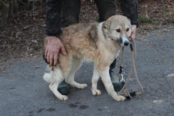 Bly - verspielt u. kinderlieb