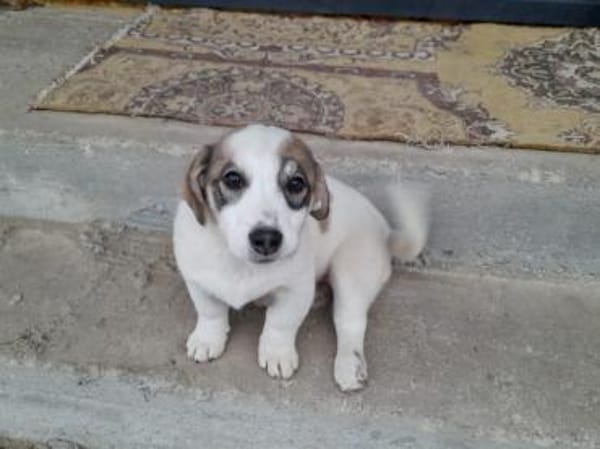 Linah, fröhliche junge Dame sucht