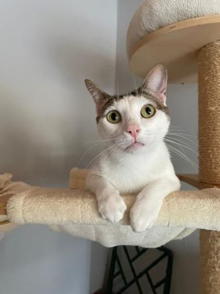 Caspar und Milo /Virneburg(ALO)