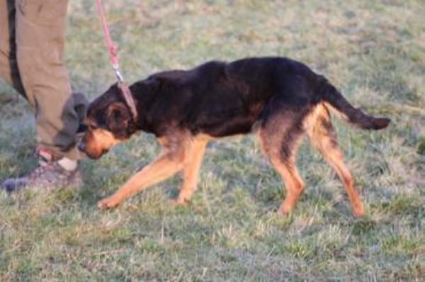 Mac - besonders lieb u. angenehm