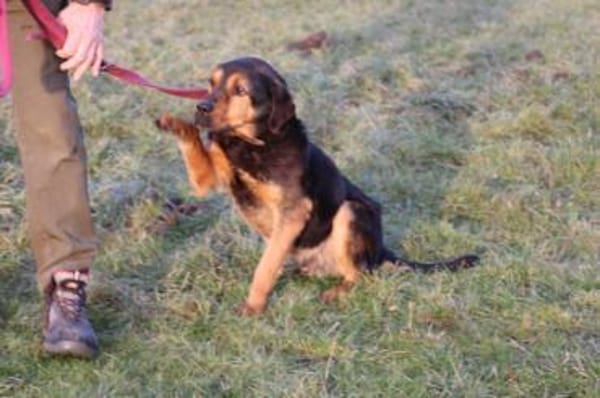 Mac - besonders lieb u. angenehm