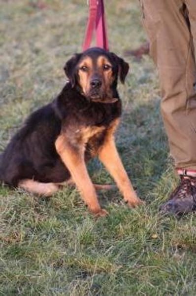 Mac - besonders lieb u. angenehm