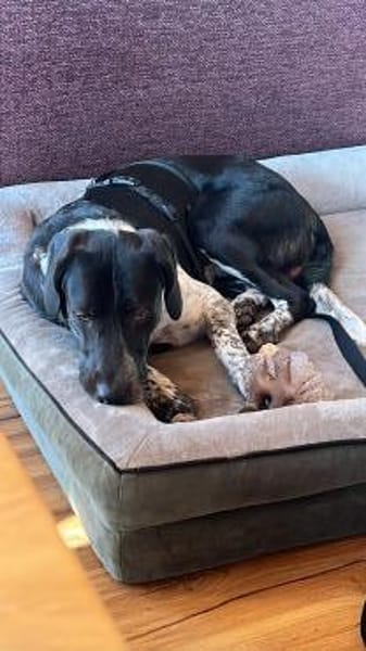 Nando  auf der Suche nach einem ruhigen