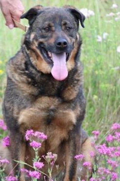 Yona - ein echter Prachtkerl