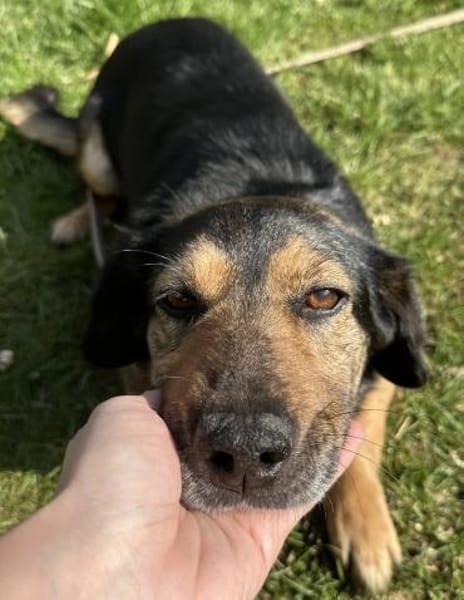 Onni 3-5 Jahre 39 cm