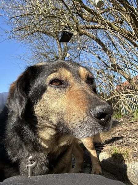 Onni 3-5 Jahre 39 cm