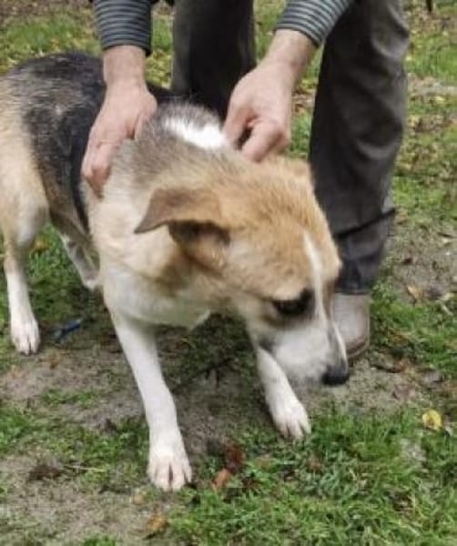 Lissy 52 cm (Pflegestelle)