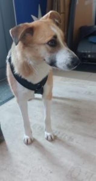 Lissy 52 cm (Pflegestelle)