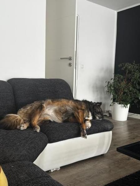 Liebe Azar braucht eine zweite Chance