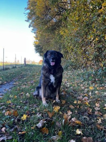 Liebe Azar braucht eine zweite Chance