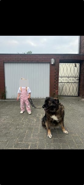 Liebe Azar braucht eine zweite Chance