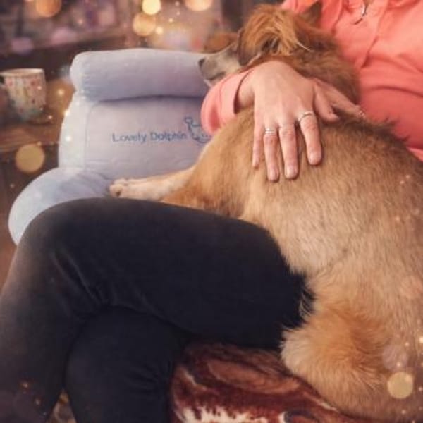 💙 Toller Junghund Diesel sucht dich! 🐾