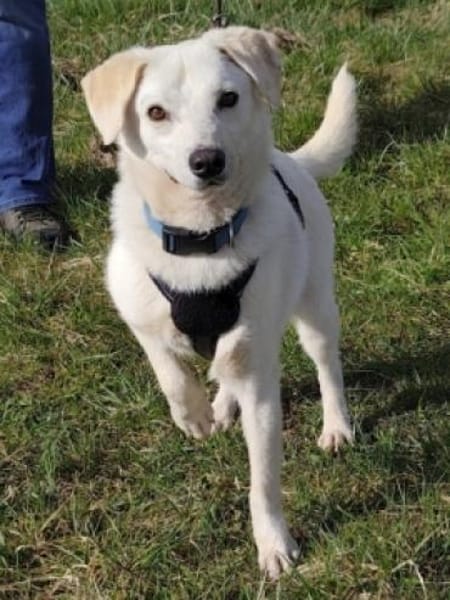 Ein Zuhause für den süßen IVORY