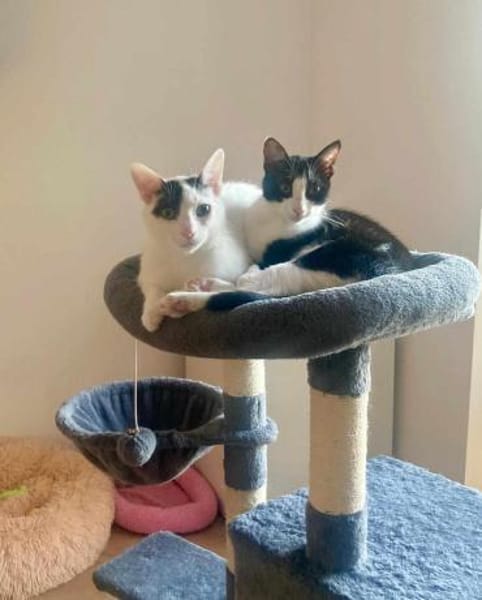 Penny und Pepe gemeinsam