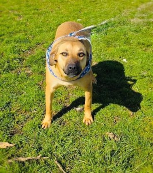 Kati ein sehr liebes Mädchen