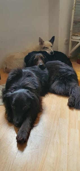 AKKI - das will ich richtig gut lernen