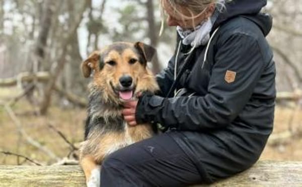 Flinti freut sich auf dich