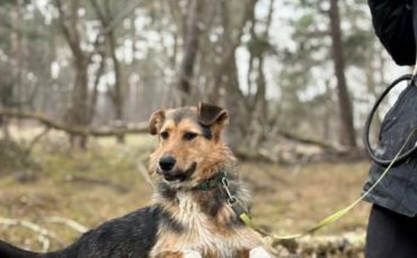 Flinti freut sich auf dich