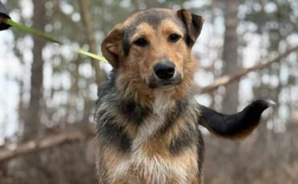 Flinti freut sich auf dich