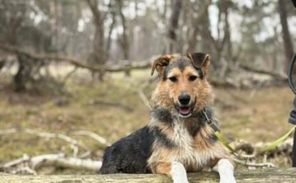 Flinti freut sich auf dich