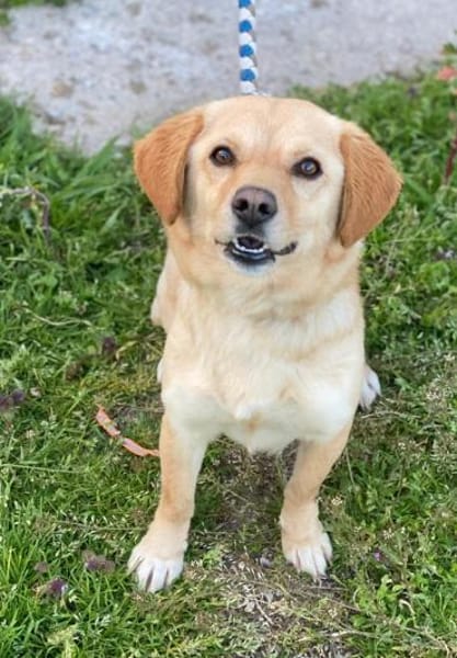 Flora, geb. ca. 03/2024, 51105 Köln