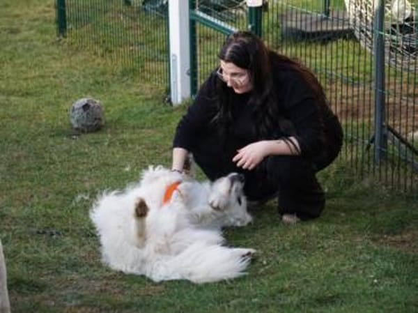 Darf Fuchur bei Ihnen wohnen?