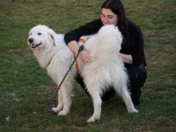 Darf Fuchur bei Ihnen wohnen?