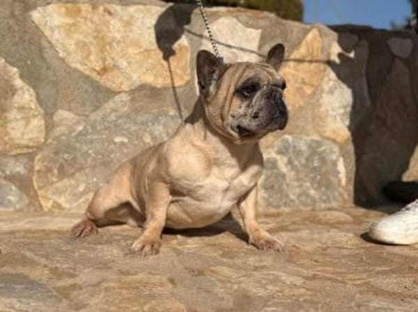 Murphy sehnt sich nach einem Zuhause