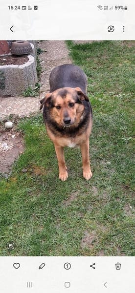 💕Mala💕 sucht ihre Familie 🐾❤