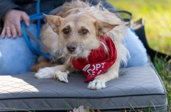 Kiki - die liebe Grinsemaus