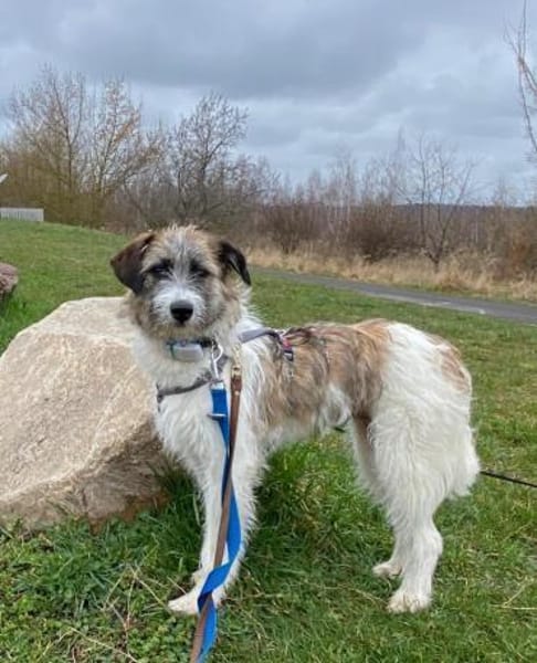 Marielu, hübsch, freundlich, jung