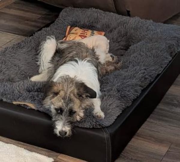 Marielu, hübsch, freundlich, jung