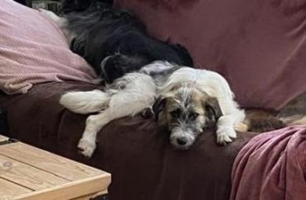 Marielu, hübsch, freundlich, jung