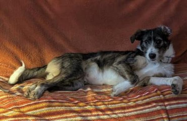 Marielu, hübsch, freundlich, jung