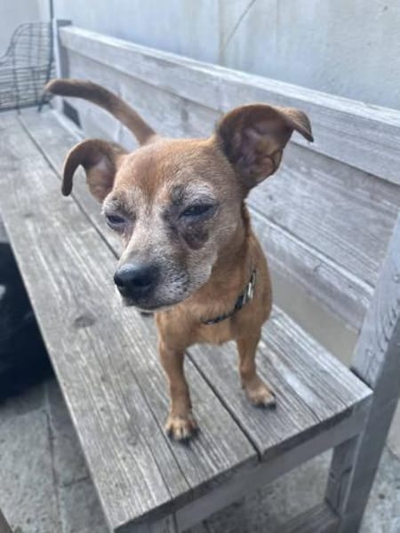 🧡Gitte - in Deutschland zur Pflege