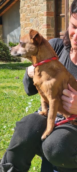 🧡Gitte - in Deutschland zur Pflege