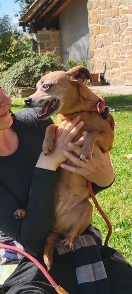 🧡Gitte - in Deutschland zur Pflege