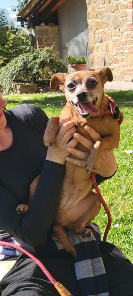 🧡Gitte - in Deutschland zur Pflege