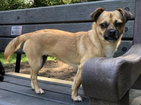 Menschenbezogene CELIA...