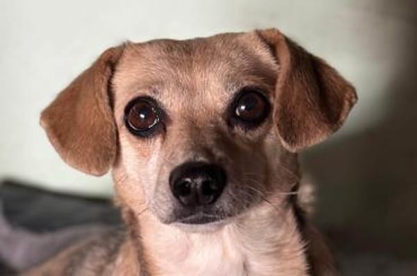 Sanfte ♥ Mirna ♥ in 67663 Kaiserslautern