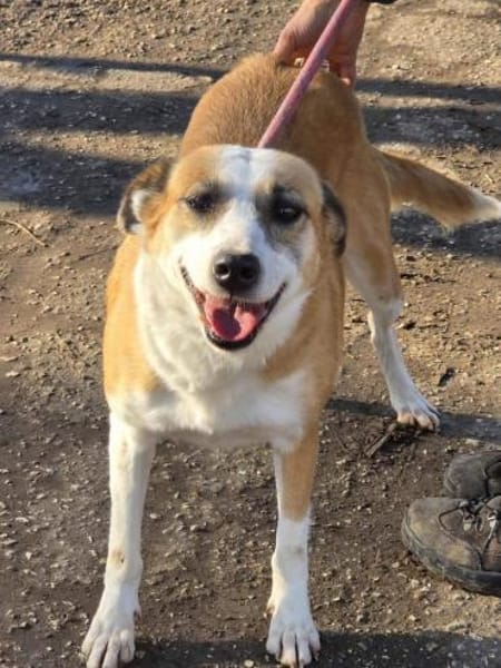 DARCY ist ein liebevolles Mädchen ♥