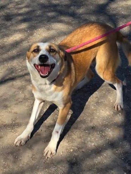 DARCY ist ein liebevolles Mädchen ♥