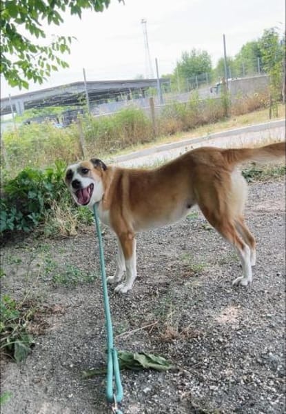 DARCY ist ein liebevolles Mädchen ♥