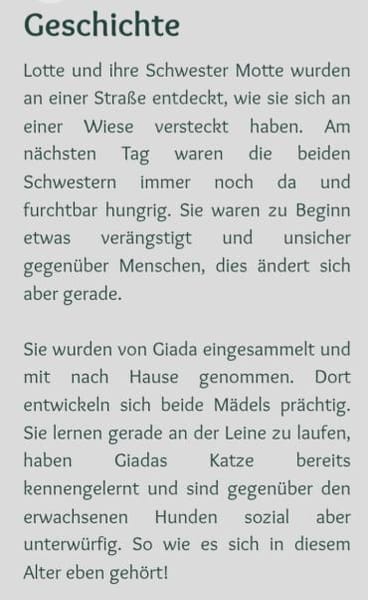 zarte  kleine Motte 🥰