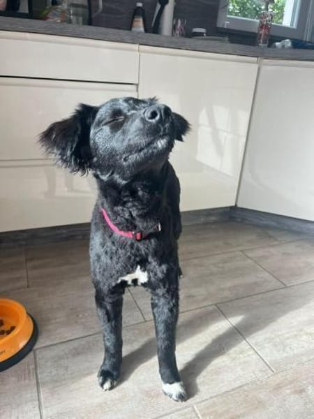 Liebe Rea sucht Dich