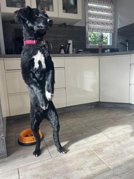 Liebe Rea sucht Dich